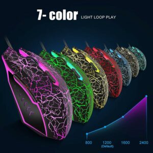 VGUARD Souris