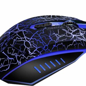 VGUARD Souris