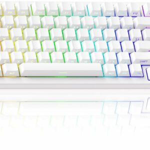 Akko Clavier Gaming TAC75 HE